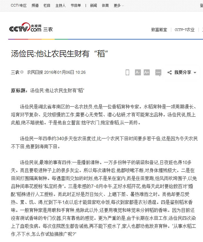 央視網1.jpg